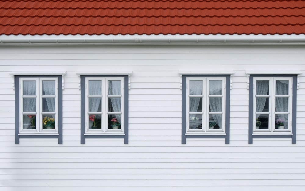 Four white-framed windows on a clapboard home exterior.